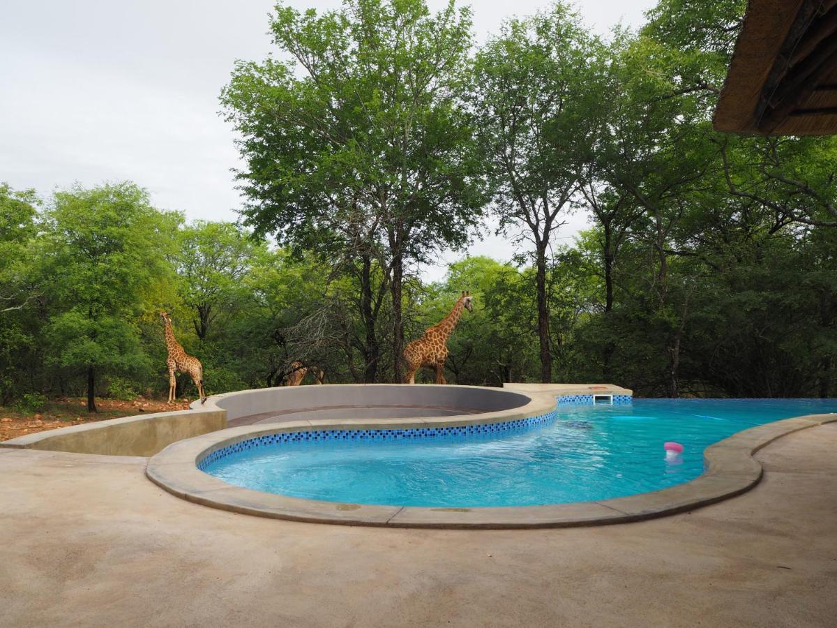 Pata Pata House Villa Marloth Park Exterior foto
